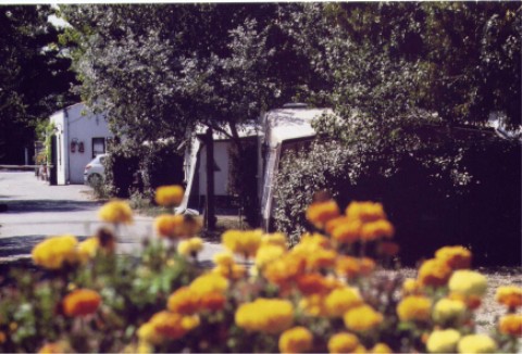 wempl01.jpg